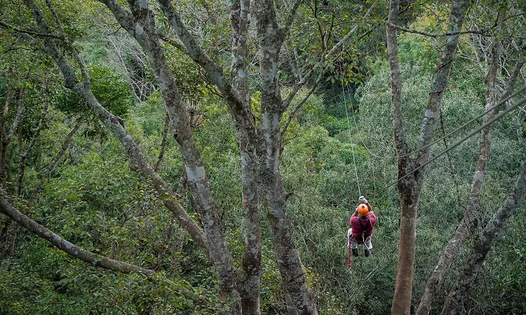 Karkloof Canopy Tours