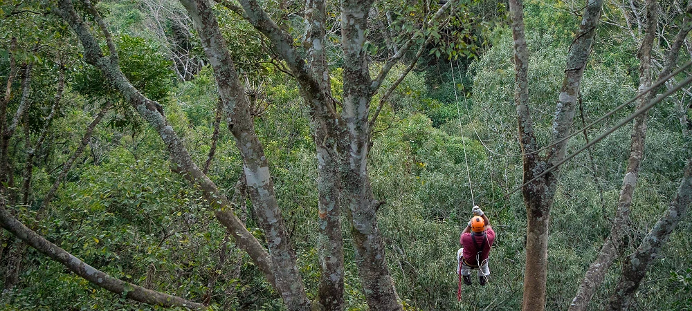Karkloof Canopy Tours