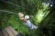 Canopy Tours