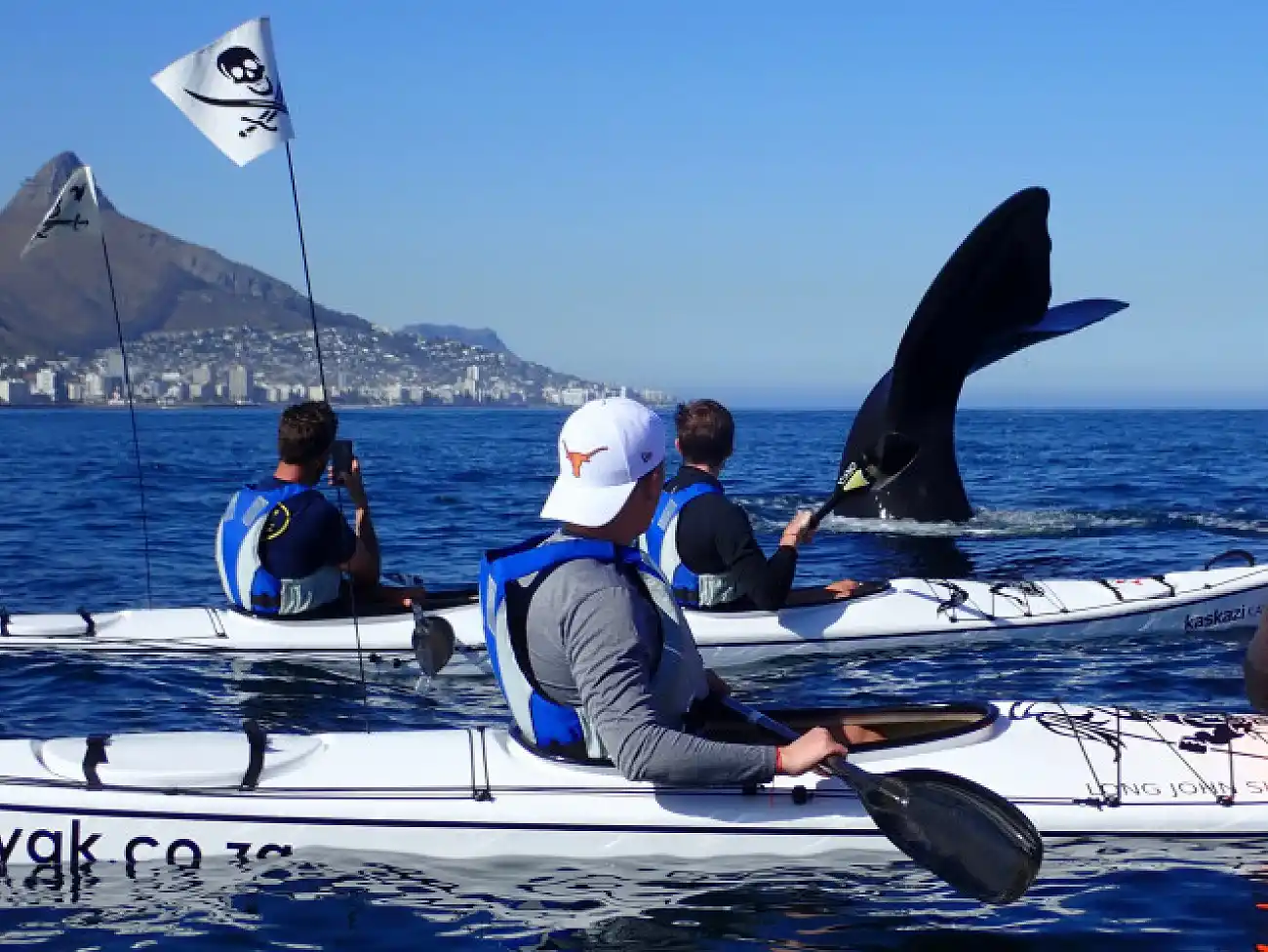 Sea Kayaking at the V&A Waterfront