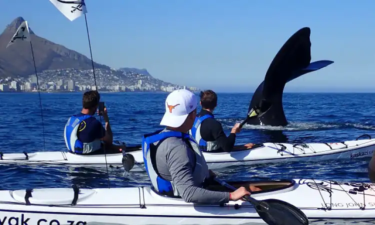 Kaskazi Kayaks and Adventures - Sea Kayaking