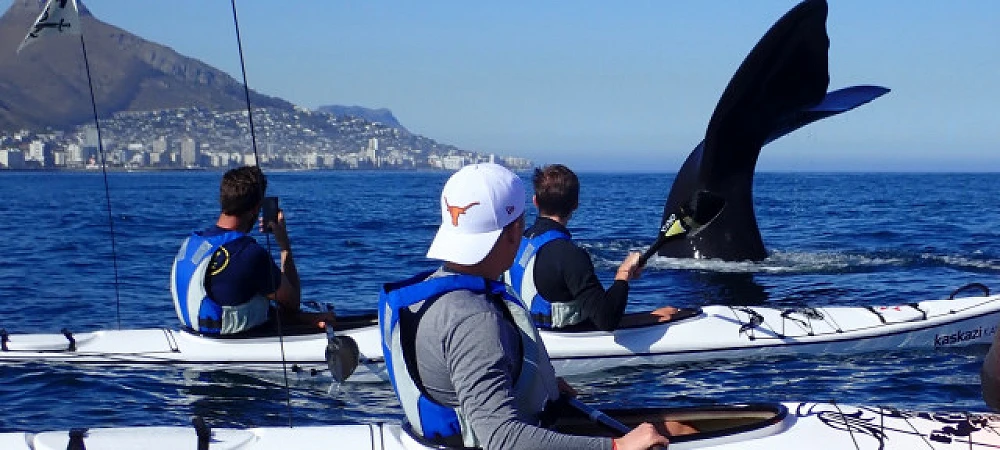 Kaskazi Kayaks and Adventures - Sea Kayaking