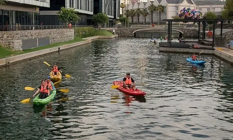 Kayak Adventures Cape Town - Sea Kayaking