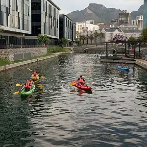 Kayak Adventures Cape Town - Sea Kayaking