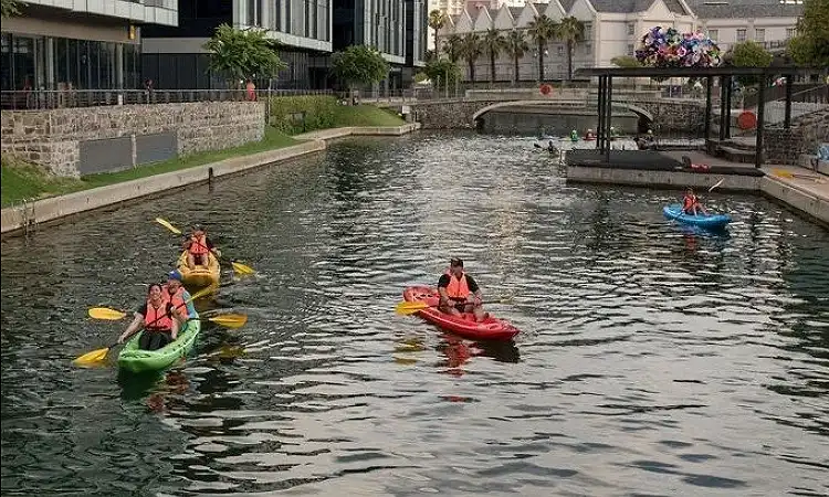 Kayak Adventures Cape Town - Sea Kayaking