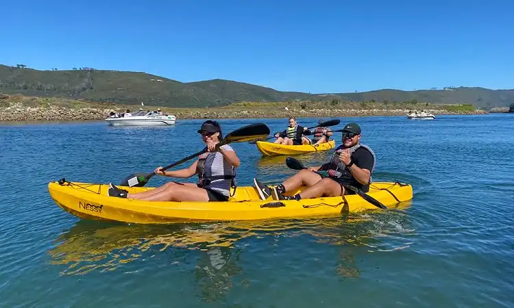 Knysna Charters - Kayaking