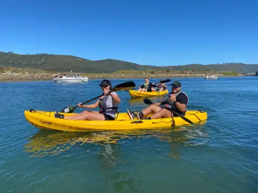 Knysna Charters - Kayaking