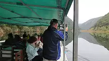 Boat Trips