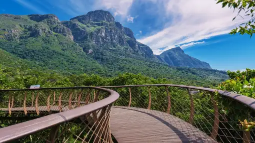 Kirstenbosch Garden - Aerial Boardwalk