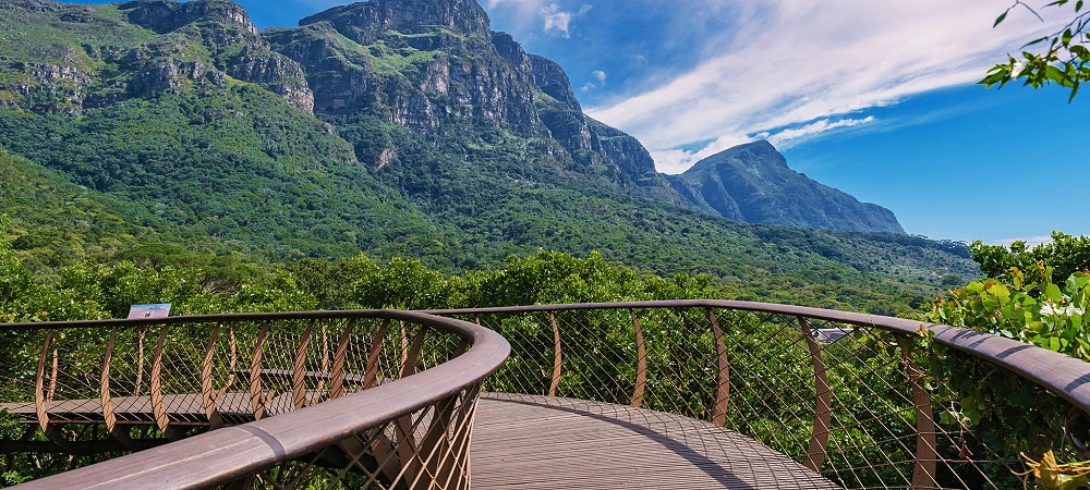 Kirstenbosch Garden - Aerial Boardwalk