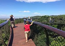 Aerial Boardwalk