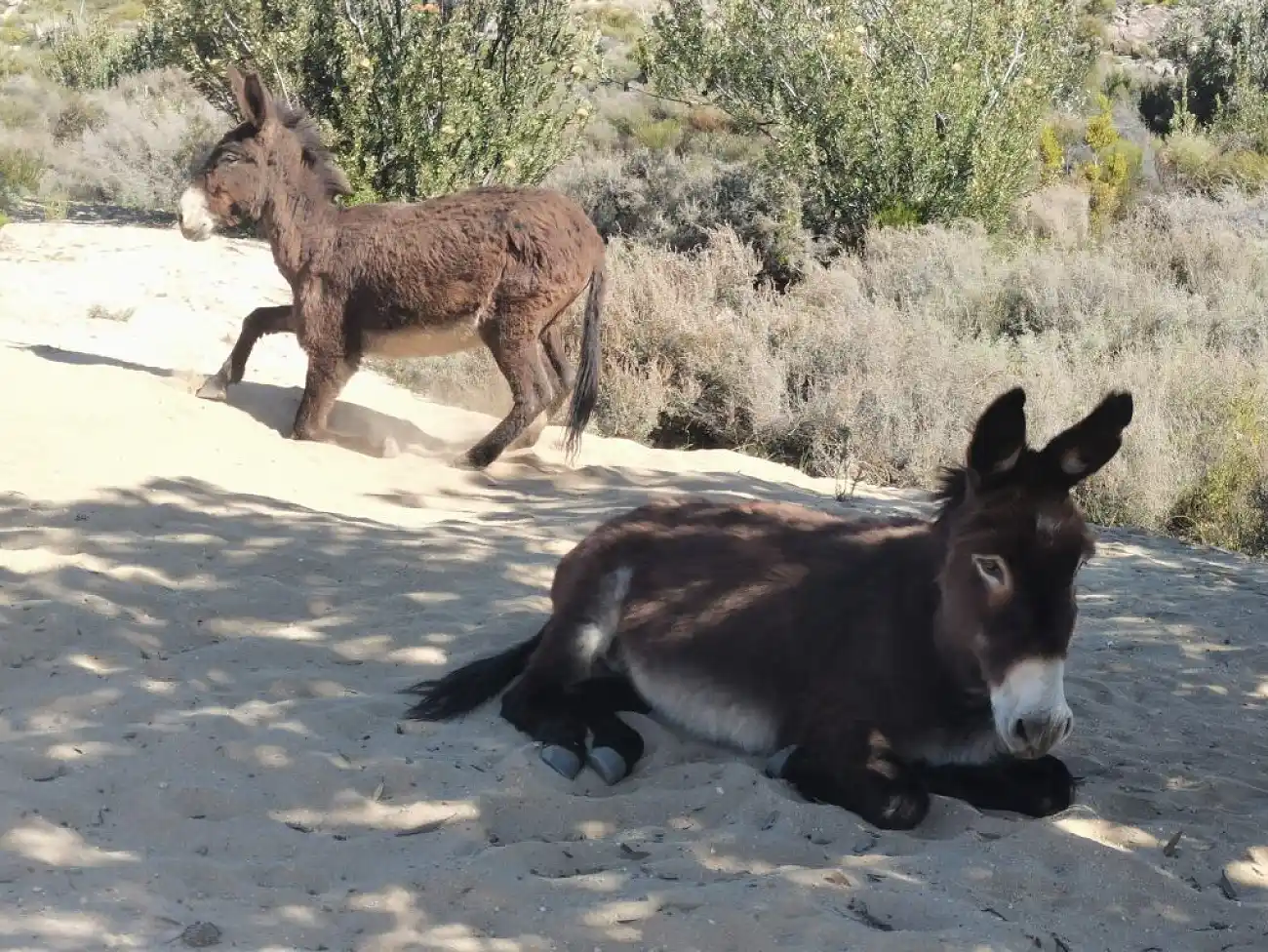 Slackpacking in Clanwilliam