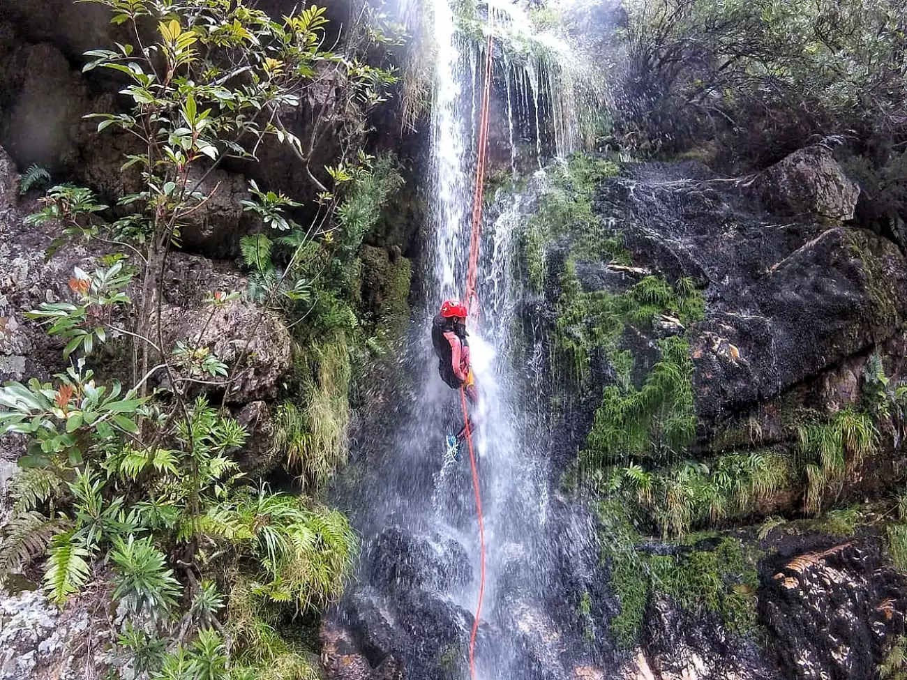 {def_description_image_text}