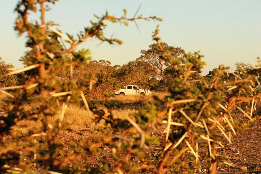 4x4 Tours