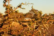 4x4 Tours