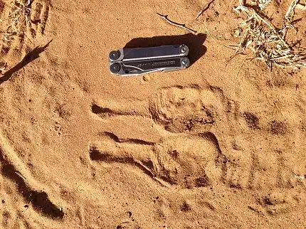 Kruger National Park Wilderness Trails