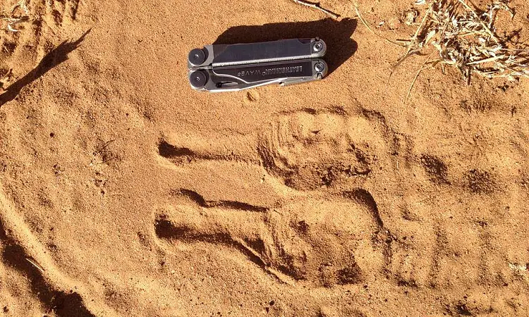 Kruger National Park Wilderness Trails
