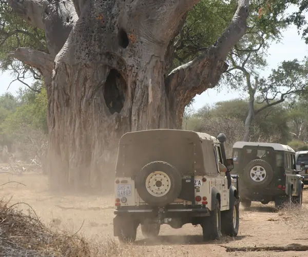 4x4 Tours