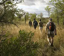 Walking Safaris