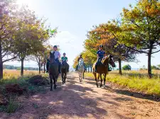 Horse Riding