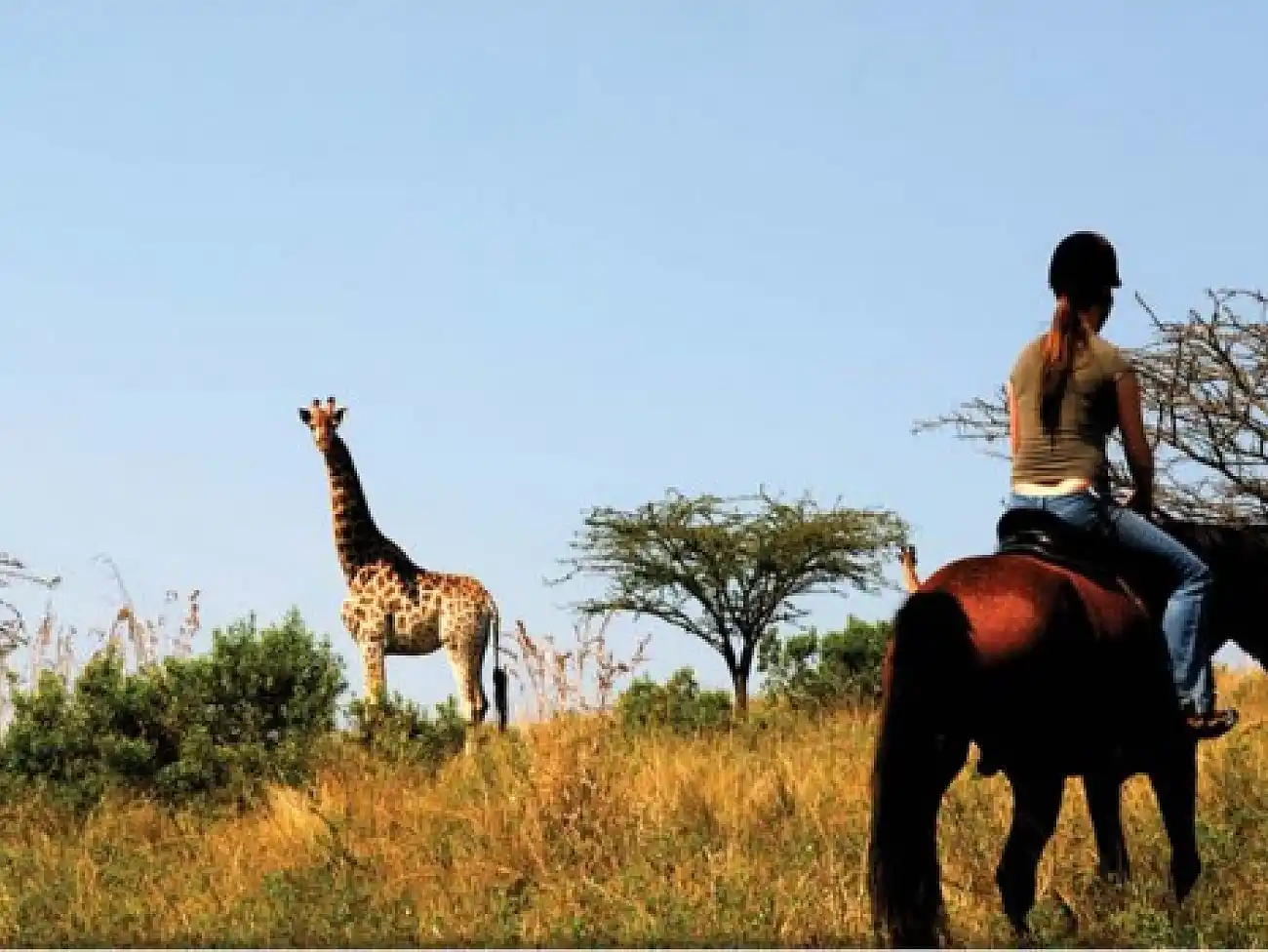 Horse Safari in the Oribi Gorge