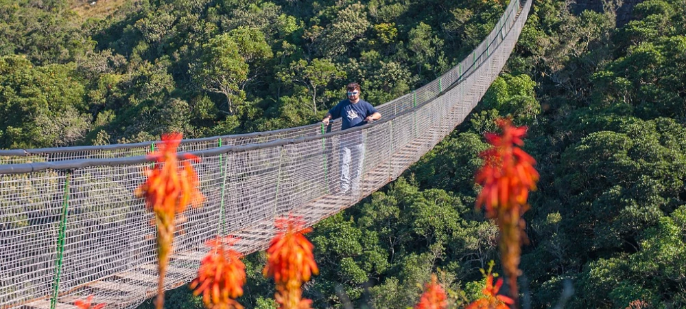 Lake Eland Game Reserve - Bridge Walk