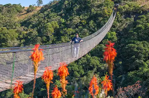 Lake Eland Game Reserve - Bridge Walk