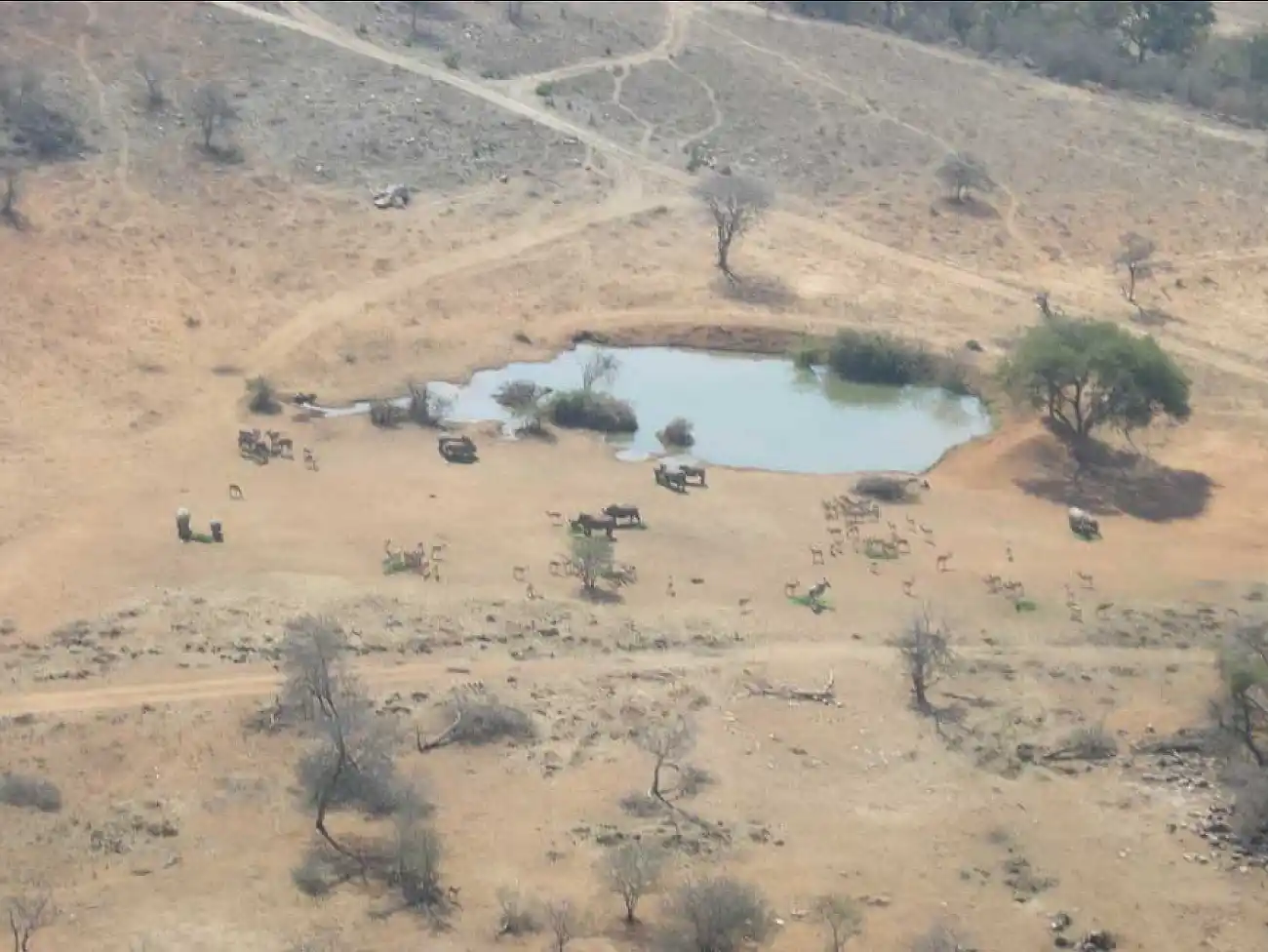 Microlight Flights in Limpopo