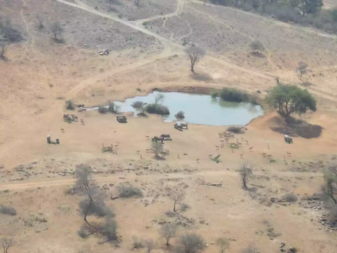 Microlight Flights in Limpopo