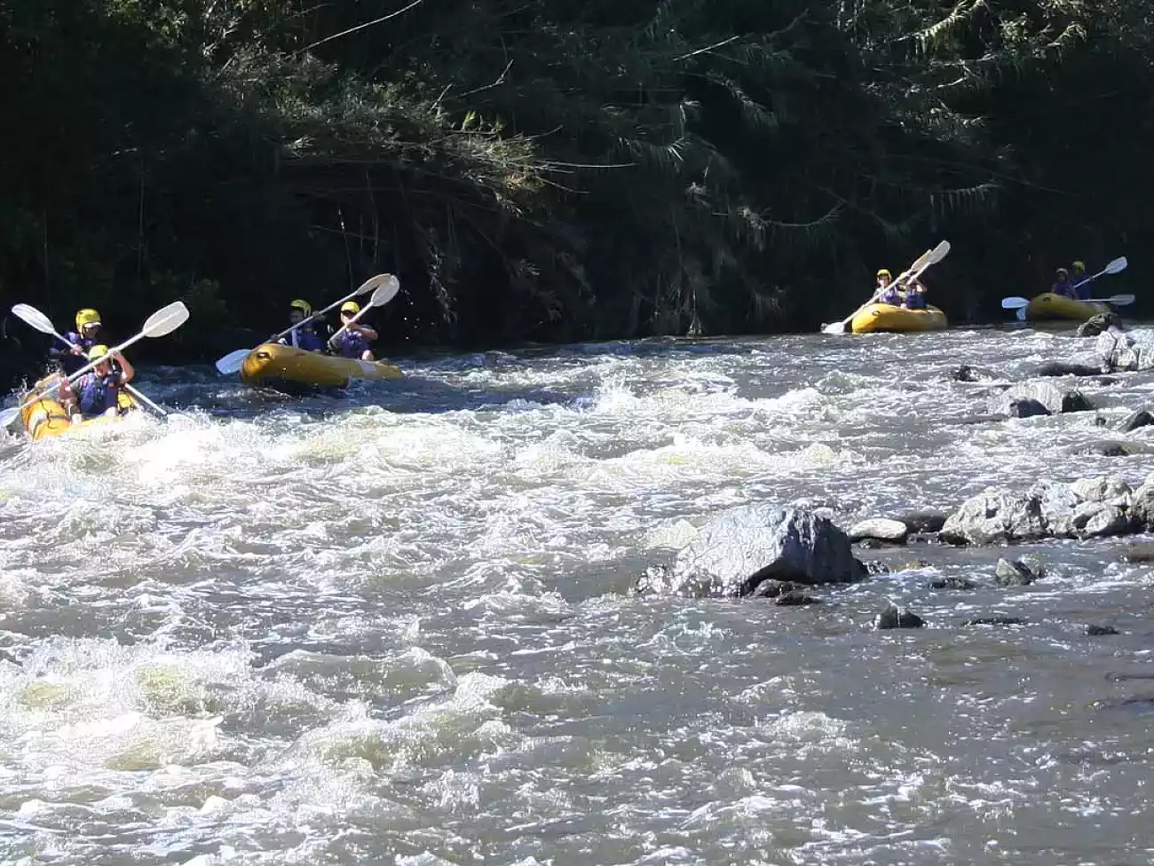 White Water Rafting on the Crocodile River