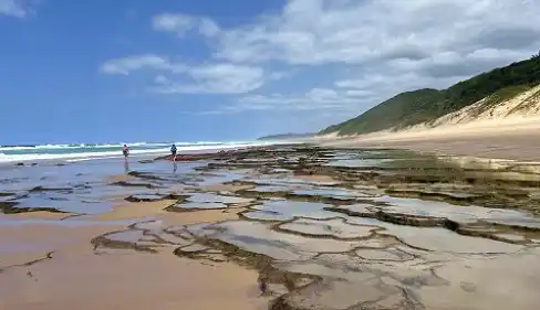 05 Day Kosi - Loggerhead Turtle Trail - KwaZulu-Natal