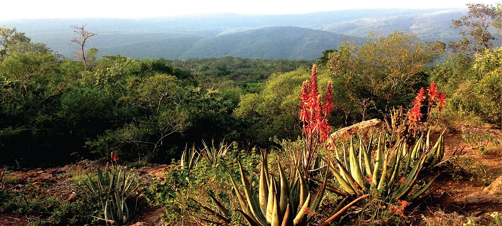 Lubombo Mountains - Slackpacking