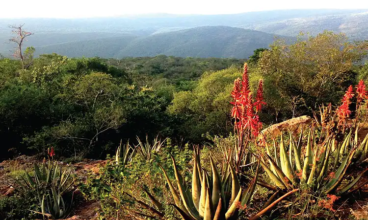Lubombo Mountains - Slackpacking
