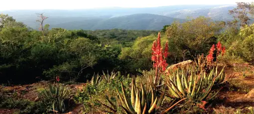 Lubombo Mountains - Slackpacking