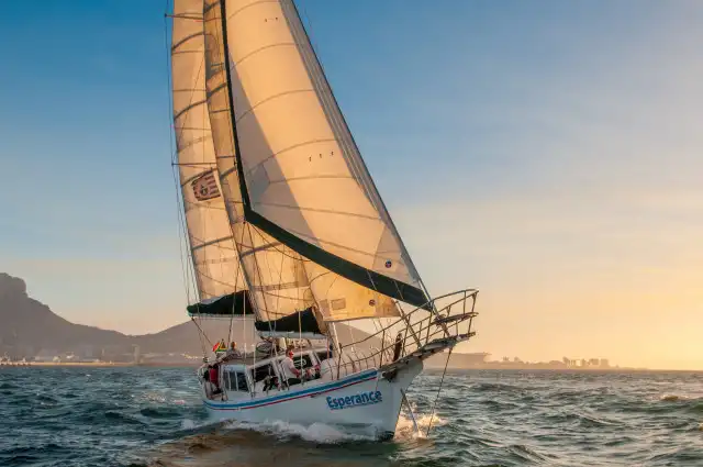 Boat Charters