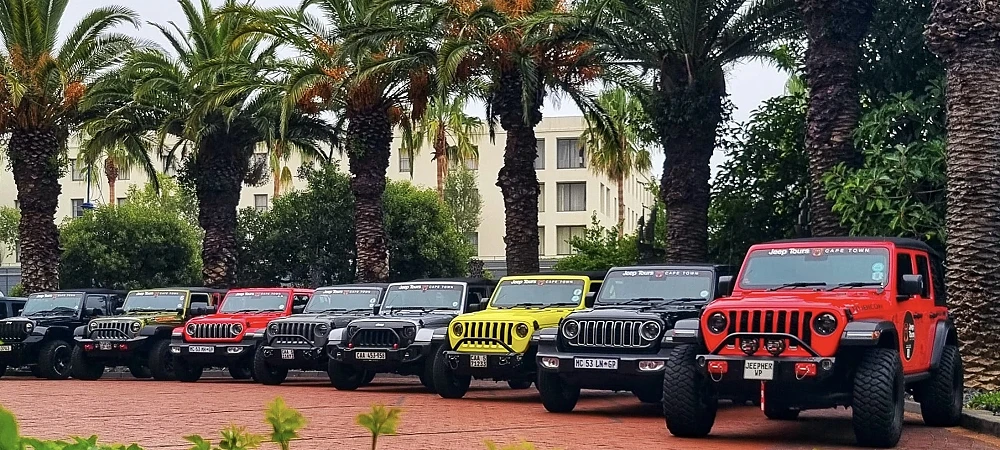 Jeep Tours Cape Town - Jeep Experience