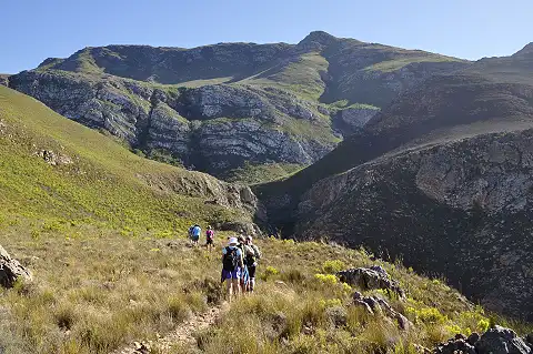 Jeep Tours Cape Town - Jeep Experience