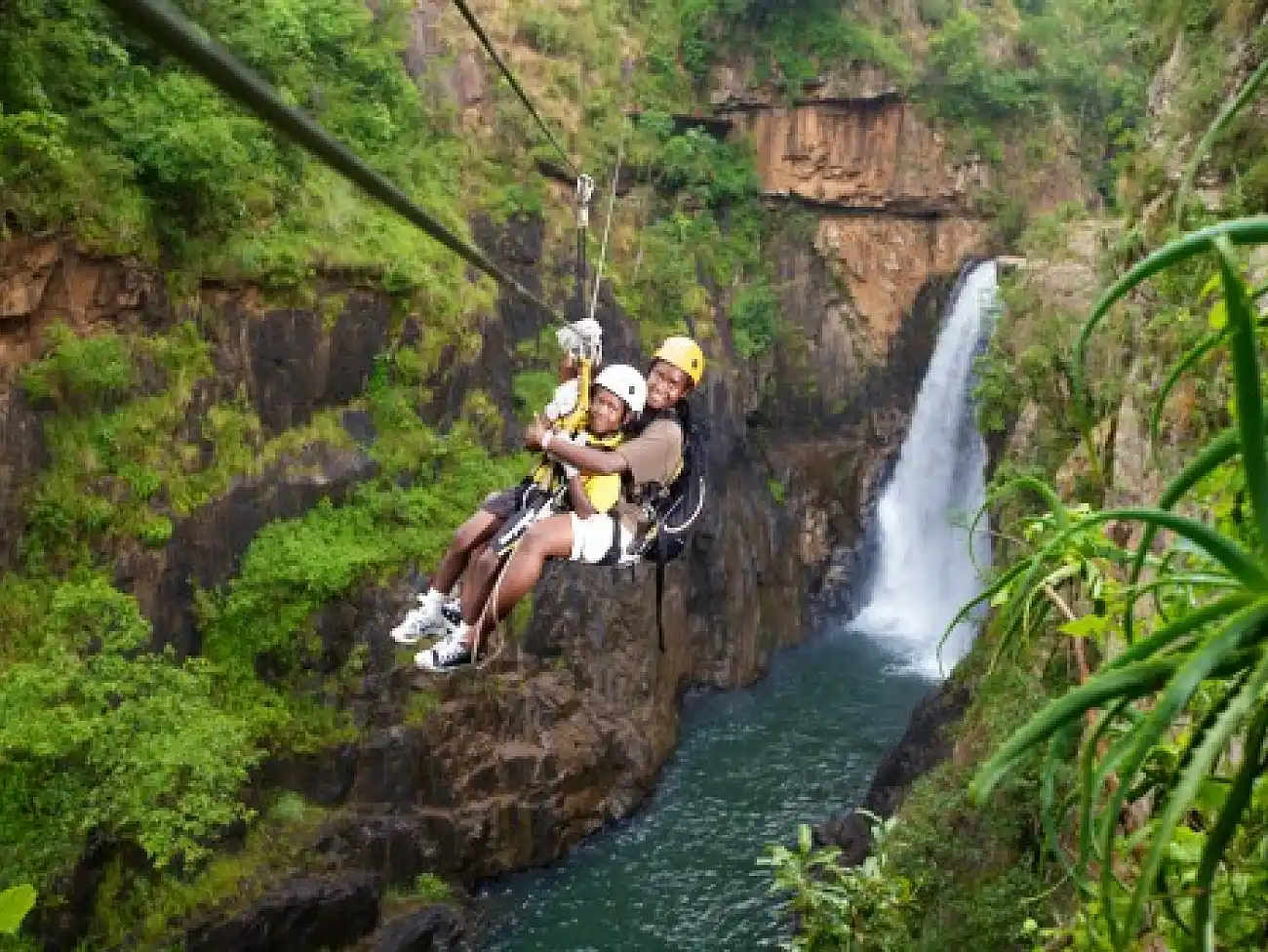Canopy Tours in Limpopo