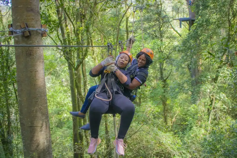 Zip Line