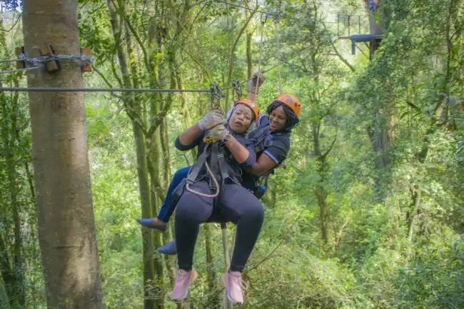 {def_description_image_text}