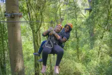 Zip Line