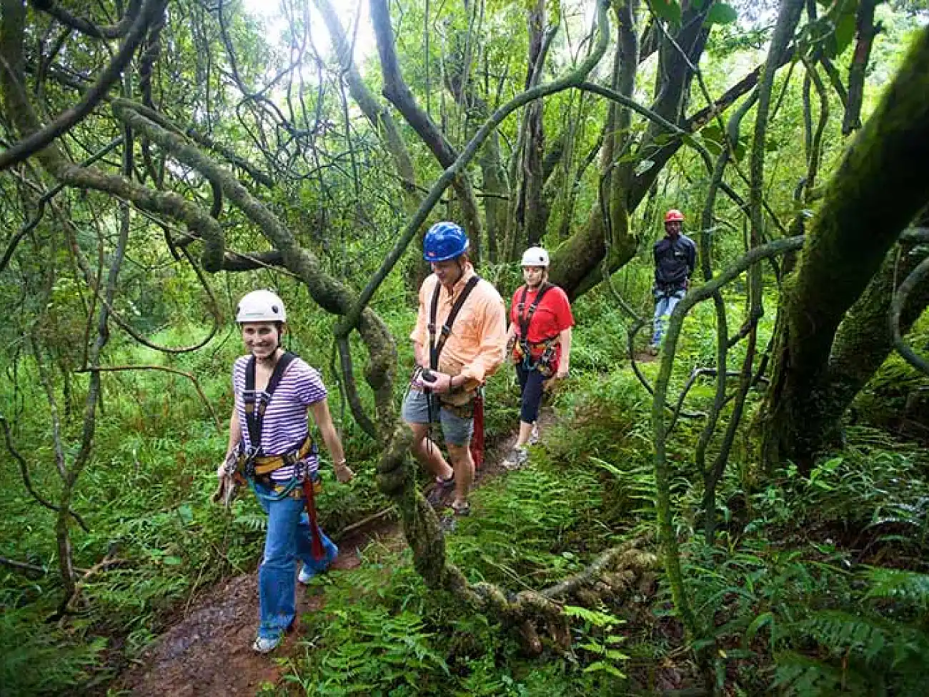 Aerial Cable Trail in the Malolotja National Park