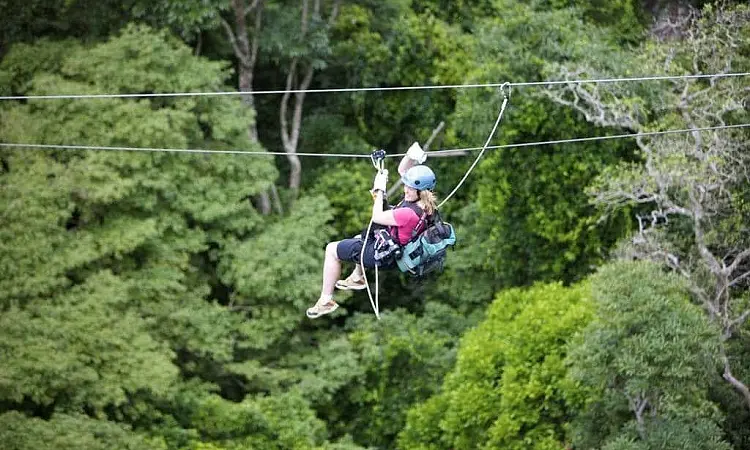 Malolotja Canopy Tour - Canopy Tours