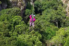 Zip Line