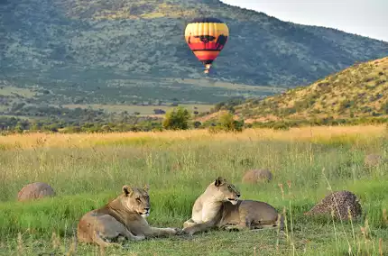 Mankwe Gametrackers - Hot-Air Balloon Rides