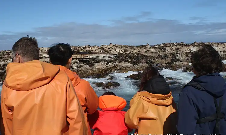 Marine Dynamics - Boat Trips
