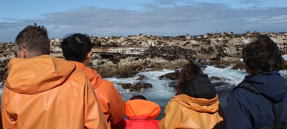 Marine Dynamics - Boat Trips