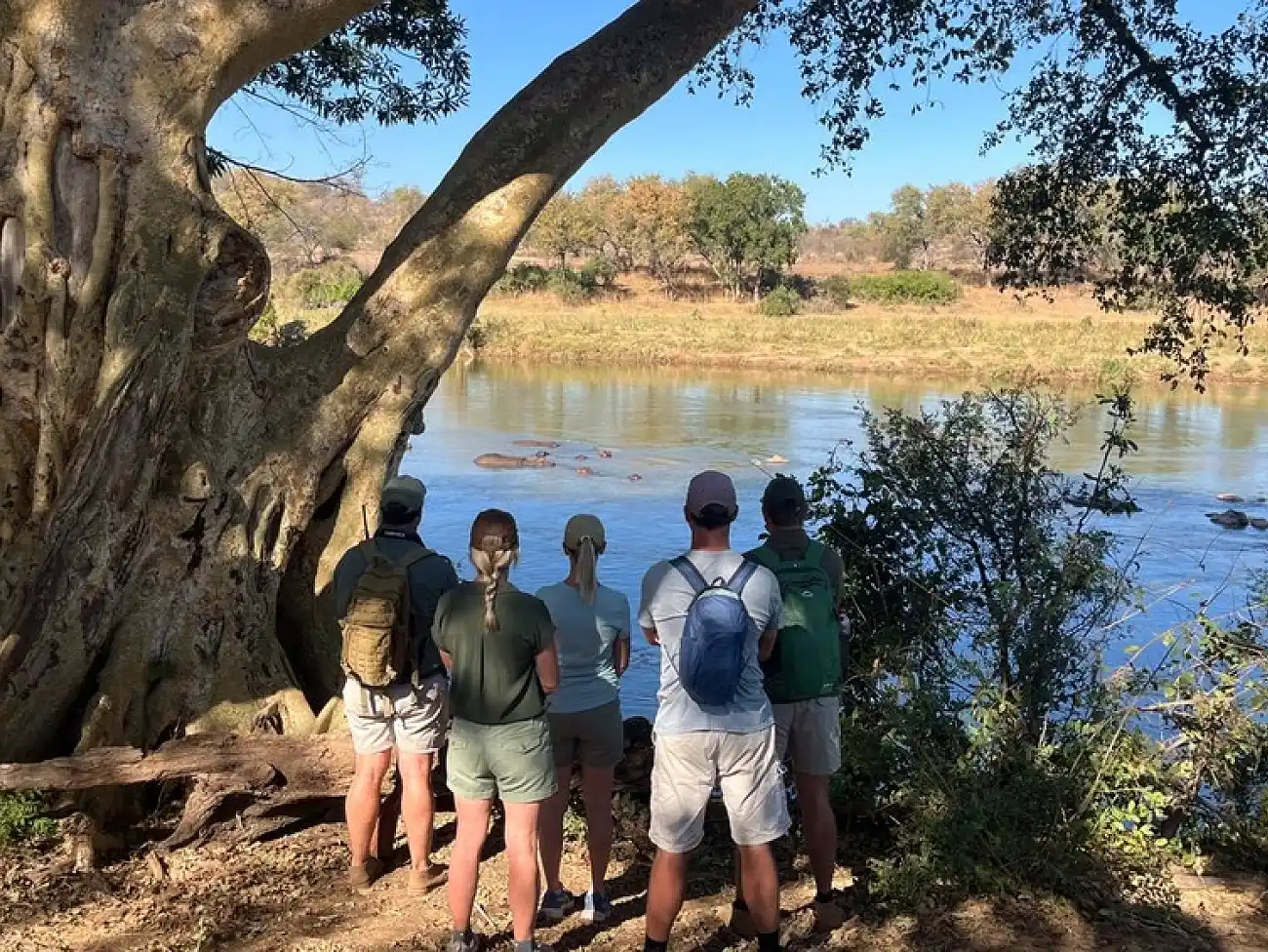 Walking Safaris in the Greater Kruger
