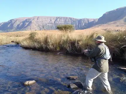 Mavungana Flyfishing - Guided Fly Fishing