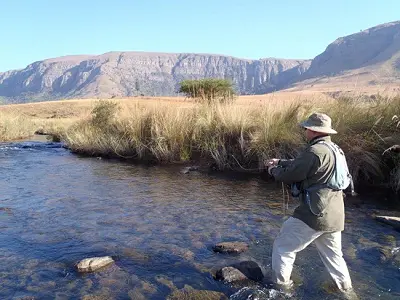 Mavungana Flyfishing - Guided Fly Fishing